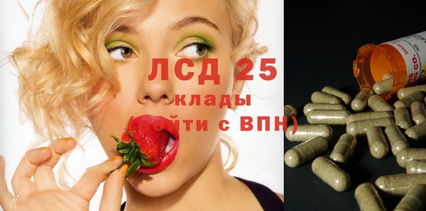 МДПВ Липки