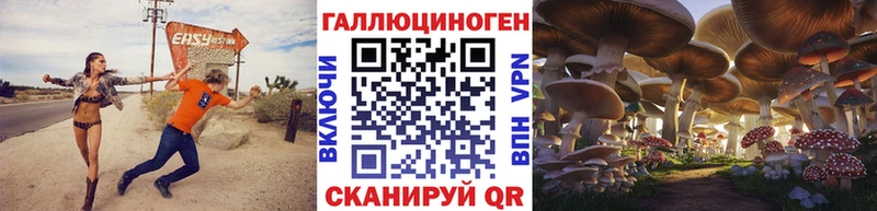 Галлюциногенные грибы GOLDEN TEACHER  купить наркоту  Приморско-Ахтарск 
